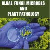 ALGAE FUNGI MICROBES AND PLANT PATHOLOGY SEM. 1 (Jai Narian Vyas Universty Jodhpur)