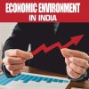 Economic Environment India SEM-2