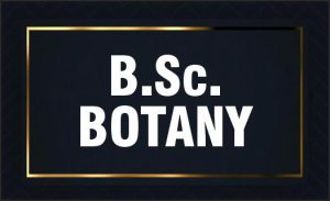 B.Sc Botany