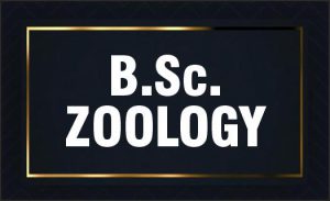 B.Sc Zoology