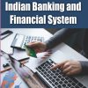 INDIAN BANKING AND FINANCIAL SYSTEM