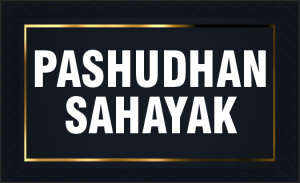 PASHUDHAN SAHAYAK